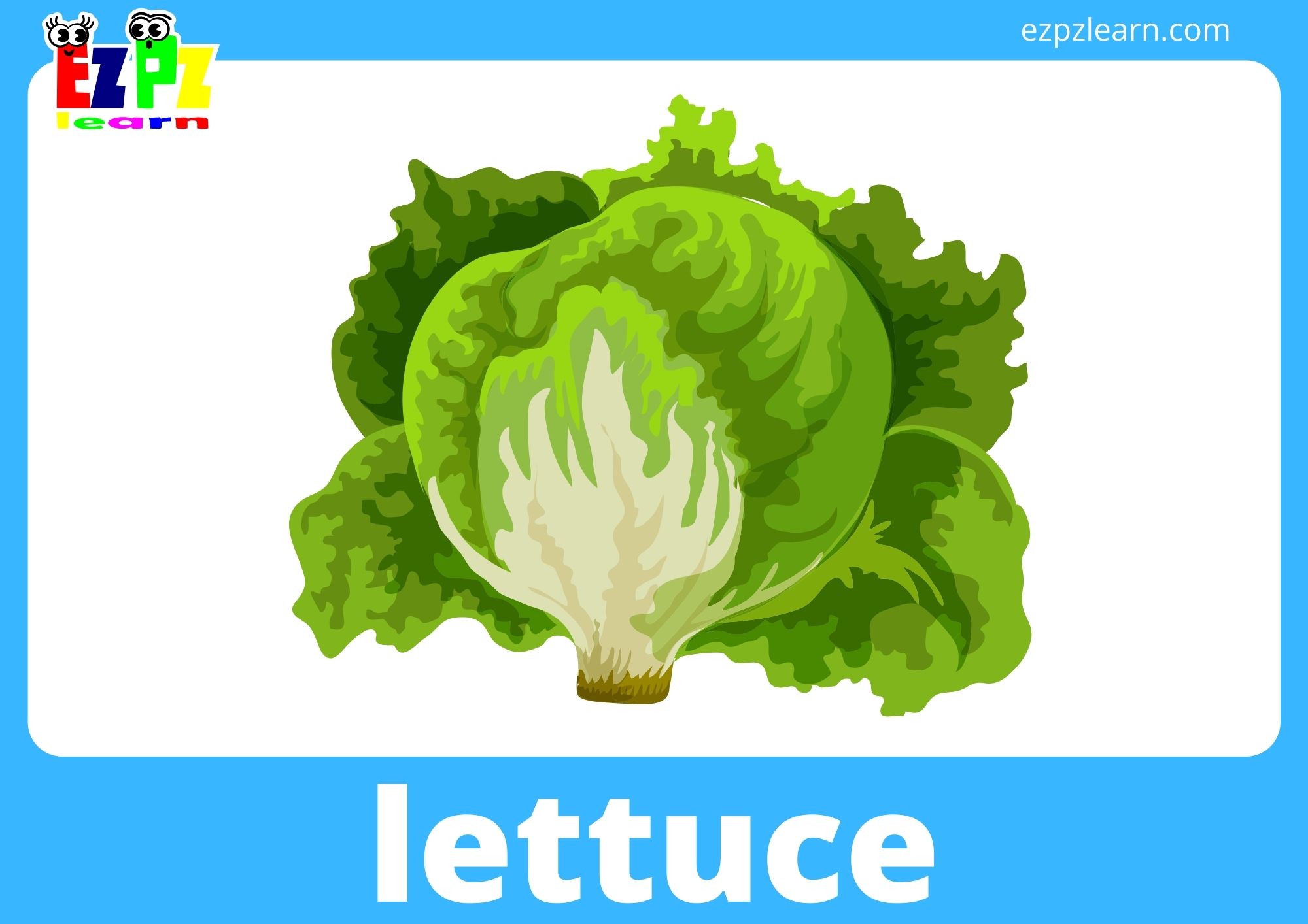 lettuce